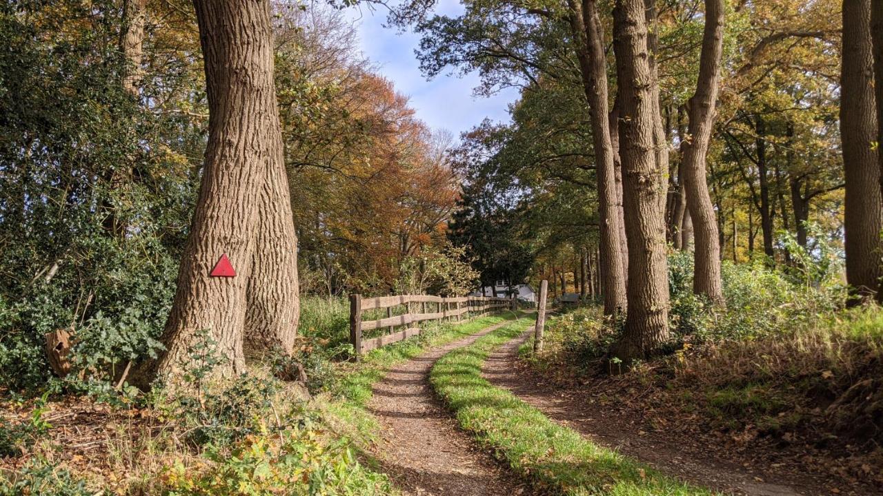 Chalet Op De Veluwe # Beuk Putten Eksteriør billede