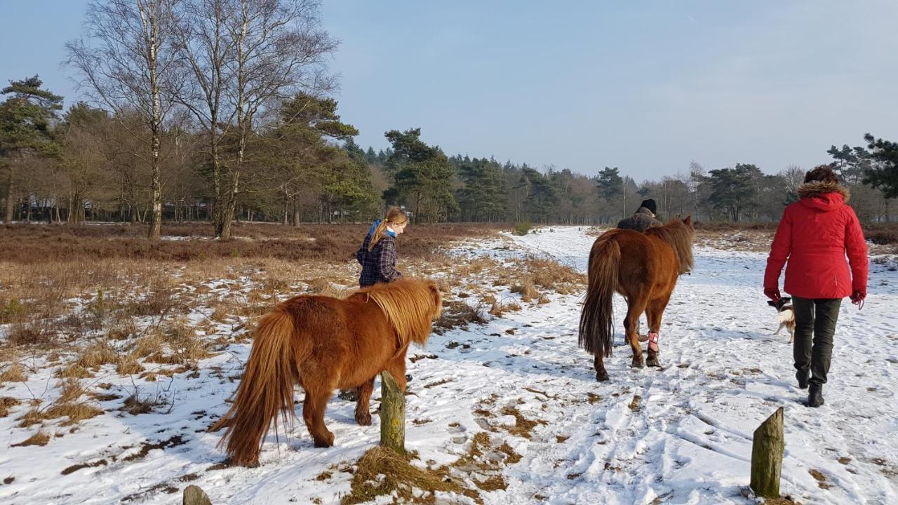 Chalet Op De Veluwe # Beuk Putten Eksteriør billede