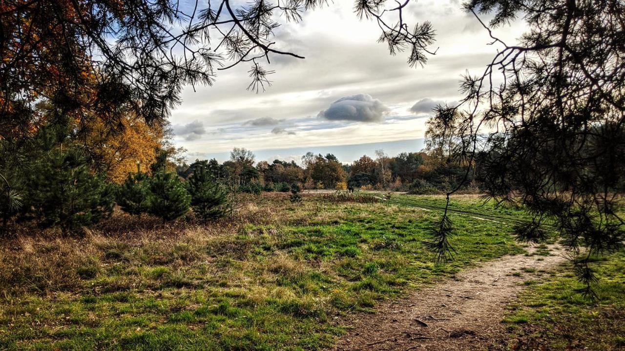 Chalet Op De Veluwe # Beuk Putten Eksteriør billede