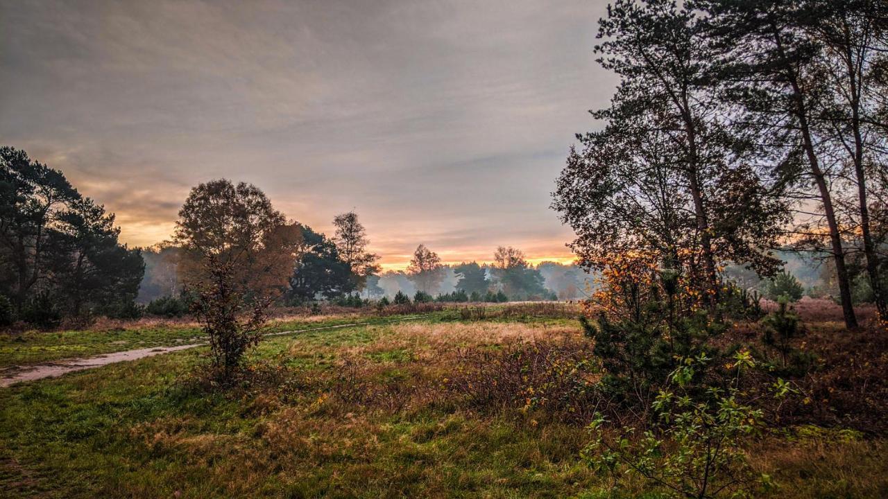 Chalet Op De Veluwe # Beuk Putten Eksteriør billede