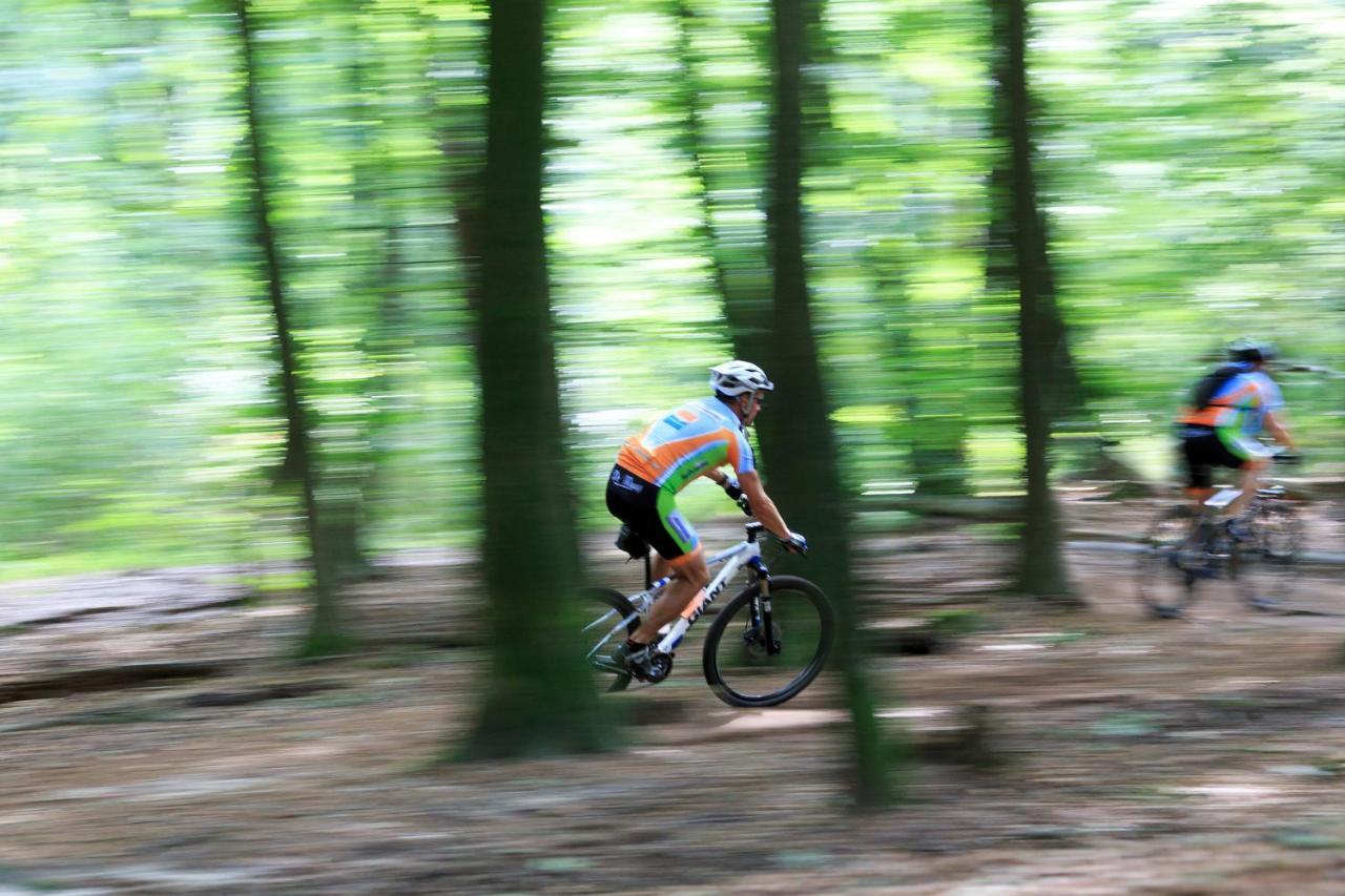 Chalet Op De Veluwe # Beuk Putten Eksteriør billede