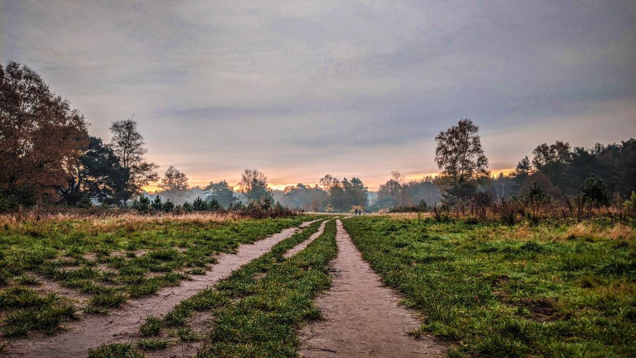 Chalet Op De Veluwe # Beuk Putten Eksteriør billede