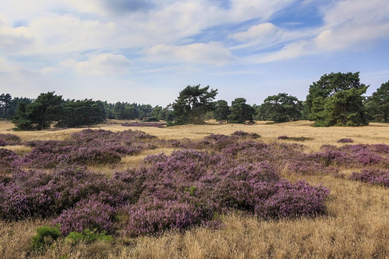 Chalet Op De Veluwe # Beuk Putten Eksteriør billede
